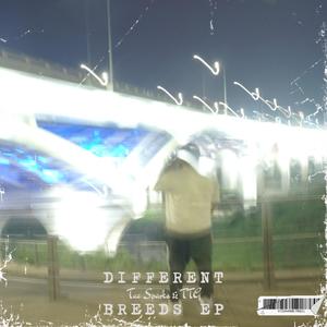 On Sight (feat. Mr. Benjamin|Explicit)