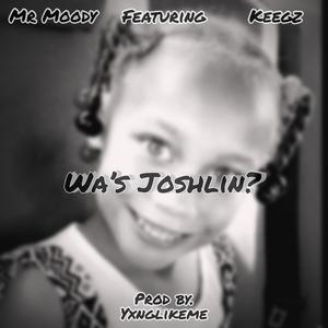 Wa's Joshlin (feat. Mr Moody & Keegz) [Explicit]