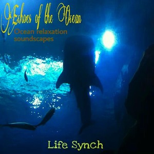 Echoes of the Ocean