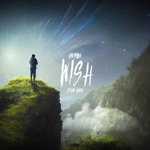 Wish (feat. Ethan Amiri) (Explicit)