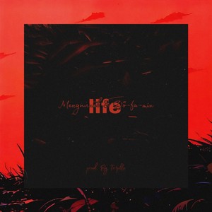 Life (Remix)