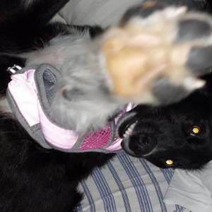 Lost Reggaetón Beat 27