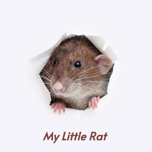 Street Stroll／Malaga Shoe Shine Boy