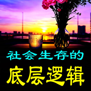 357婚姻博弈：是共生关系还是权力争夺？-坤蕾热播书