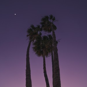 Purple flow