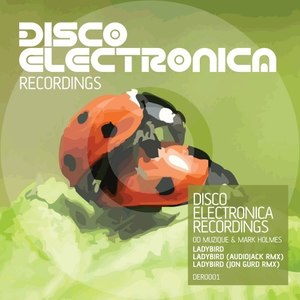Ladybird (Jon Gurd Remix)