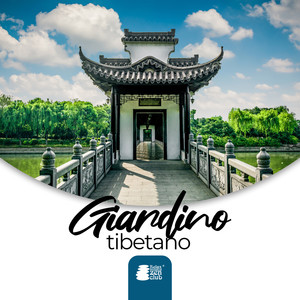 Canto mattutino degli uccelli