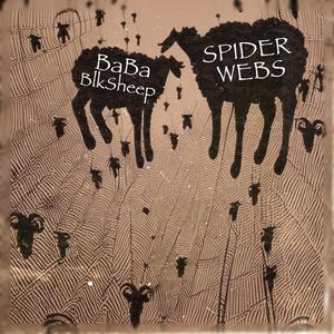 SPIDER WEBS