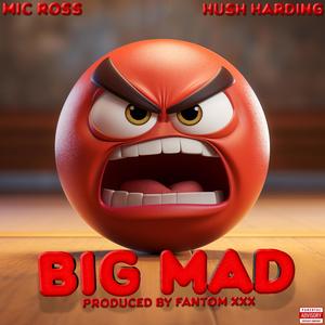 Big Mad (Explicit)