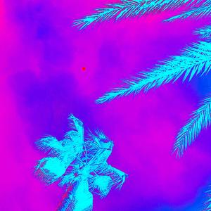 NOT IN LOVE (feat. Kaylene)