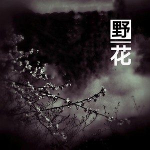 野花 (伴奏)
