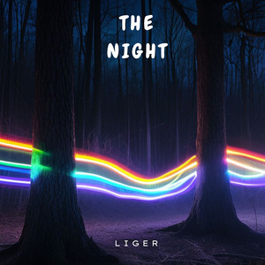The Night
