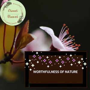 Worthfulness of Nature