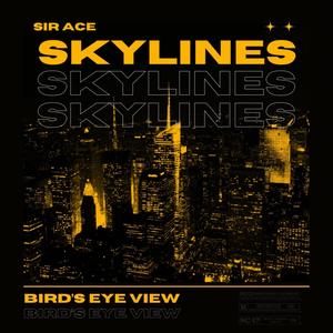 SKYLINES (Explicit)