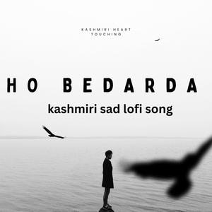 Ho Bedarda Ho sad heart touching song (feat. sohial reshi) [Explicit]