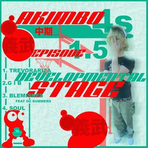 blemishes(feat. OZ SUMMERS) (Explicit)