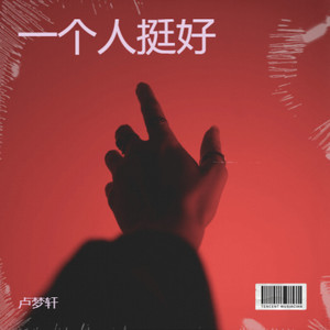 一个人挺好