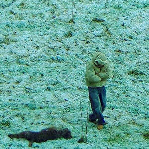 Nicht Consistent (Explicit)