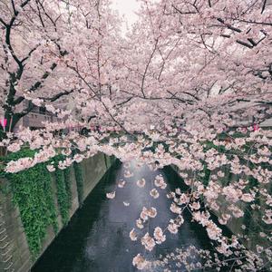 Watercolor Memories (Explicit)