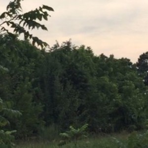 running away from you(feat. Checks N Balances & Linden) (Explicit)