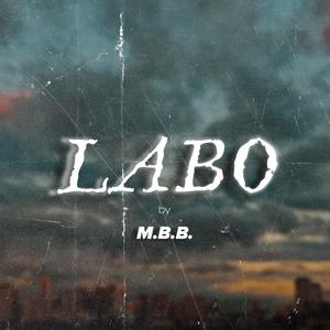 LABO (Explicit)