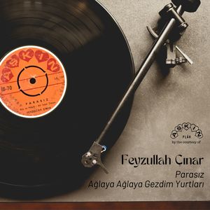 Ağlaya Ağlaya Gezdim Yurtları