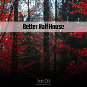 Better Half House District XXIII