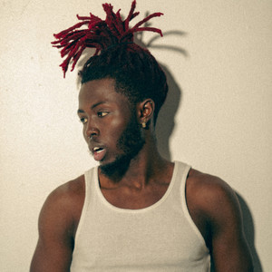 erosion log 01 (Explicit)