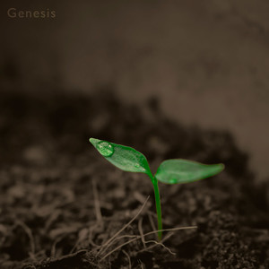 Genesis