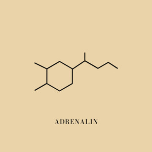 Adrenalin (Explicit)