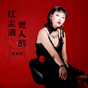 红尘酒 世人醉 (DJ沈念版)封面