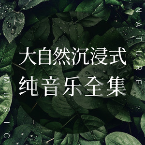 王某某 - 春暖花开的远方婉婉陶笛 天涯共悠扬（《泰坦尼克号》主题曲器乐音色）