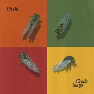 Cicada Songs