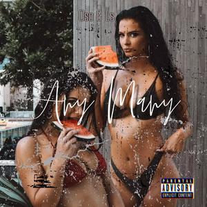 Any Many (feat. LsThaGr3at) [Explicit]