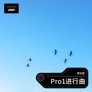 Pro1进行曲 (Live)