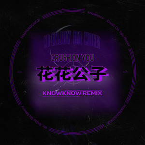 花花公子 (KnowKnow Remix)封面