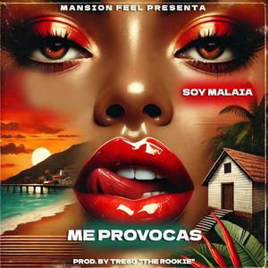 Me Provocas (feat. Mansión Feel) [Version Afrobeat] [Explicit]