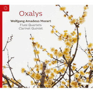 Mozart: Flute Quartets & Clarinet Quintet