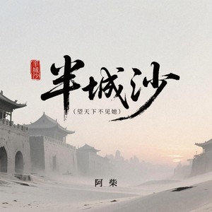 半城沙（望天下不见她）