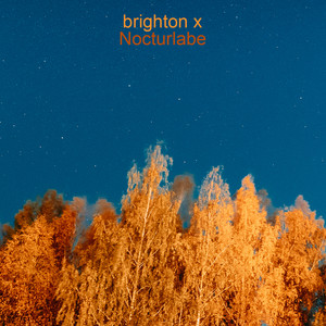 Fluttering From The Autumn Tree