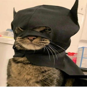 Love Review (feat. Killheen) (Explicit)