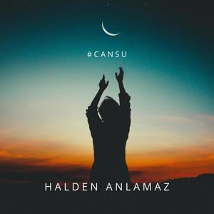 Halden Anlamaz (Remix)