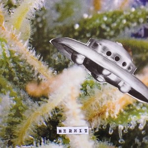 Dead Prez – Police State