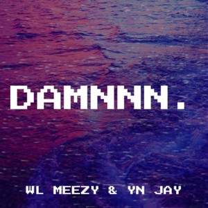 Damnnn (Explicit)