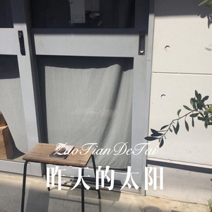 雾里的小花 (Remix)