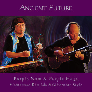 Purple Nam & Purple Haze (Vietnamese Đàn Bầu & Glissentar Style)