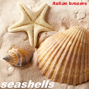 Seashells