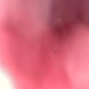 Trap Nigga (feat. Walt Da G & Qbg Blimp) (Explicit)