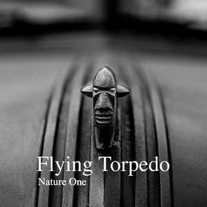 Flying Torpedo