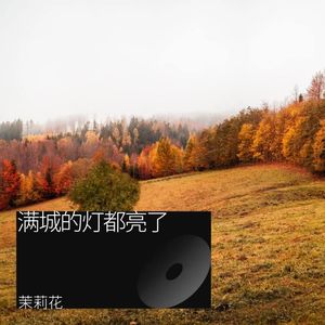 满城的灯都亮了 (Demo)